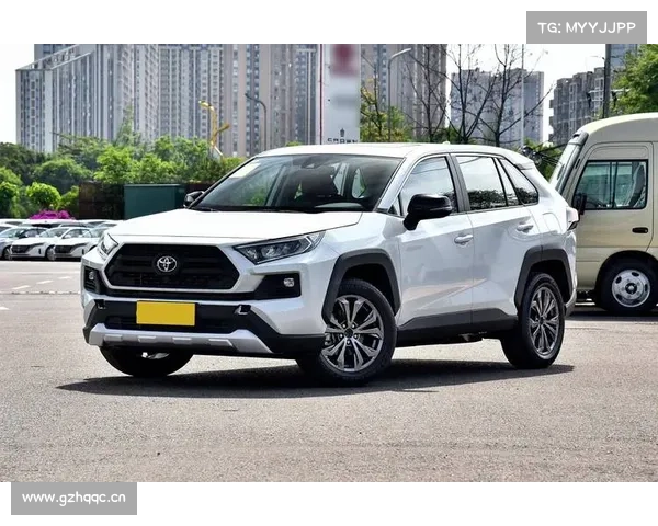 「一周接触」以偏不能概全｜2020款一汽丰田 RAV4荣放